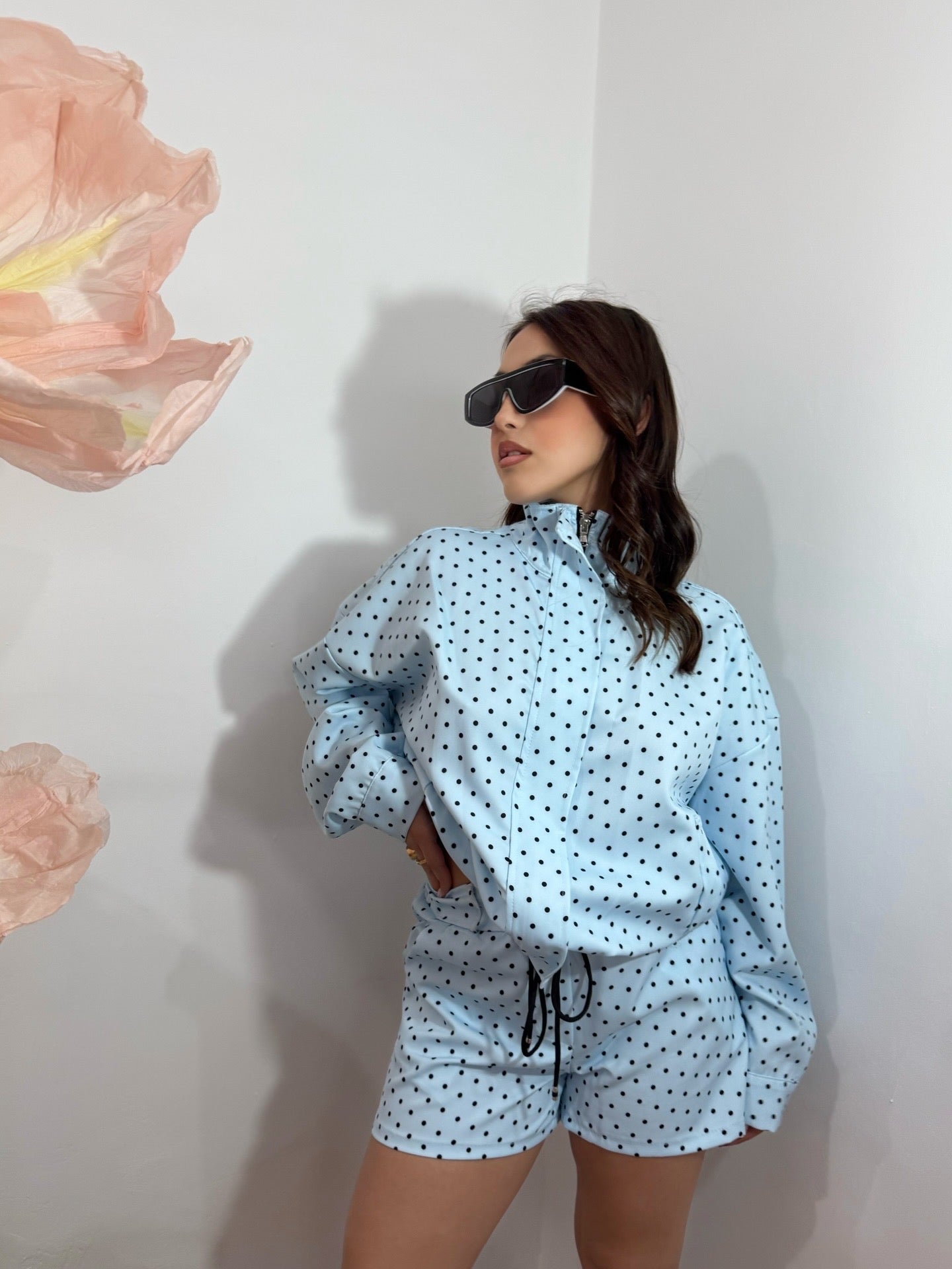 Coordinato pois celeste