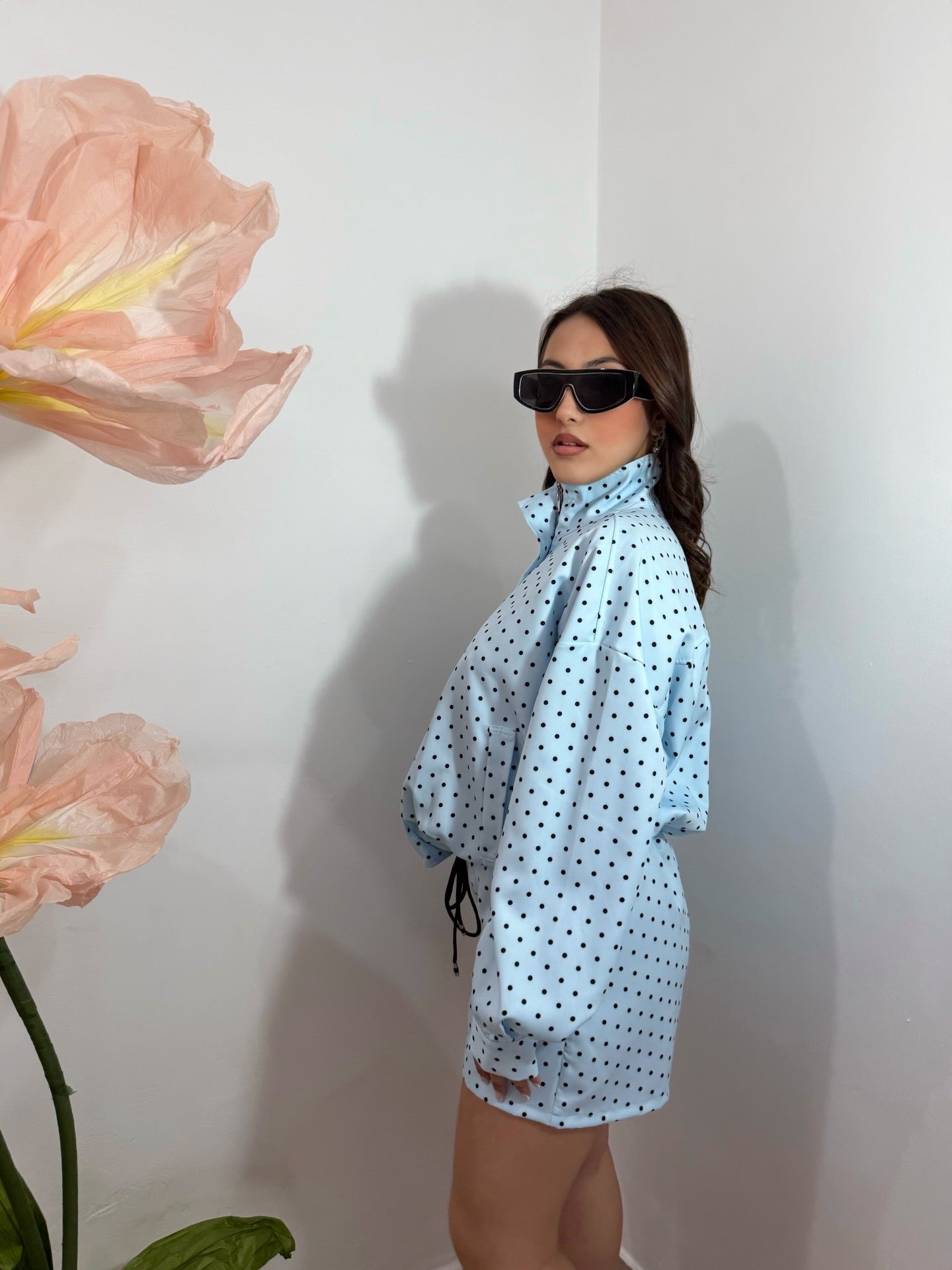 Coordinato pois celeste